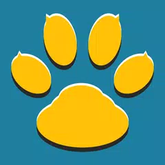 VoIP Recorder & Screen Recorde XAPK download