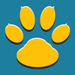 VoIP Recorder & Screen Recorde