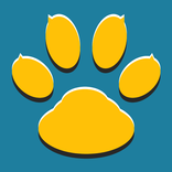 VoIP Recorder & Screen Recorde