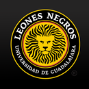 Leones Negros Oficial APK