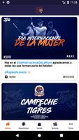 Tigres 海報