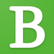 Bolle icon