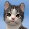 Kitten: Cat Game Simulator MOD