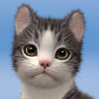 Kitten: Cat Game Simulator アイコン
