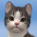 My Cat:Pet Game Simulator aplikacja