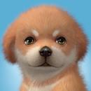 Solitaire Dog - Card Game APK