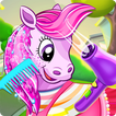 Pet Horse Salon