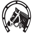 Bombay Bullion icon