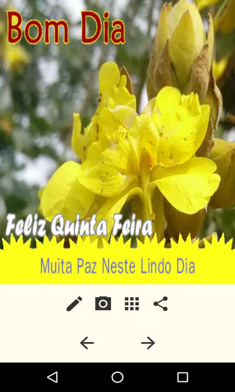 Download do APK de Mensagens de Bom Dia para Android Download do APK de Mensagens de Bom Dia para Android