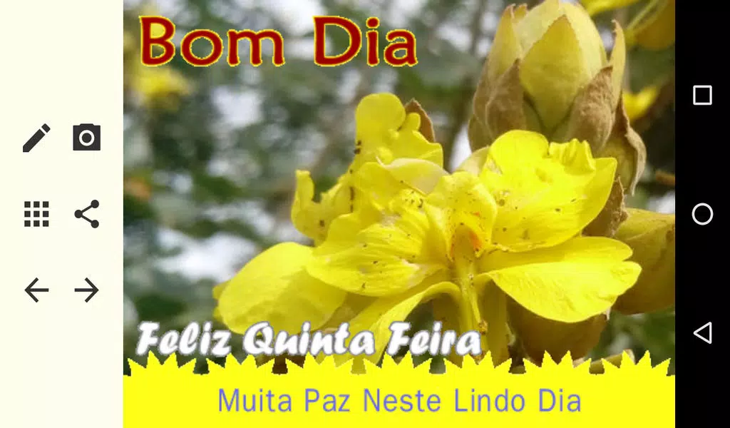 Download do APK de Mensagens de Bom Dia para Android Download do APK de Mensagens de Bom Dia para Android