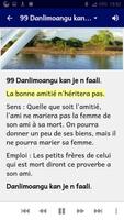 Proverbes gulmancema expliqués screenshot 3