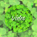 Green video wallpapers APK