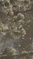 Winter ภาพหน้าจอ 1