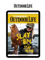 Outdoor Life Affiche