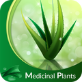 Medicinal Plants & Herbs : Their Uses