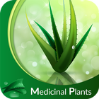 Medicinal Plants & Herbs : Their Uses icône