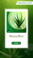 Medicinal Plants & Herbs : Their Uses Plakat