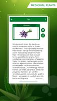 Medicinal Plants & Herbs : Their Uses captura de pantalla 3