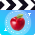 Blur Video & Image –Blur/Pixelate