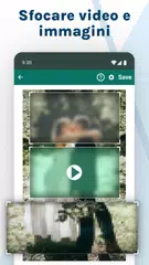 download Blur Video & Image XAPK