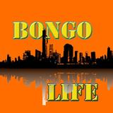 BONGO LIFE 圖標