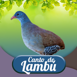 Canto De Lambu