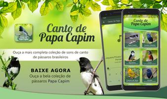 Canto De Papa Capim plakat
