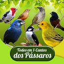 Todos em 1-Cantos dos Pássaros APK