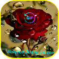 Hello good day