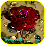 bonjour bonne journée