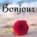bonjour bonnesoiréebonnenuit
