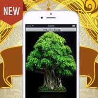 Design Tree Bonsai 截图 1