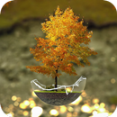 Bonsai Tree Wallpaper APK