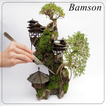 Bonsai boom soorten ontwerp