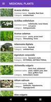 برنامه‌نما Medicinal plants lite عکس از صفحه