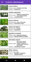 Plantas medicinales: hierbas captura de pantalla 1
