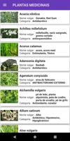 Plantas medicinais: ervas imagem de tela 1