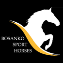 Bosanko Sport Horses APK