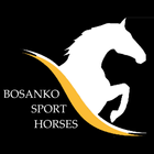 Bosanko Sport Horses icône