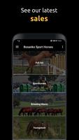 Bosanko Sport Horses capture d'écran 2