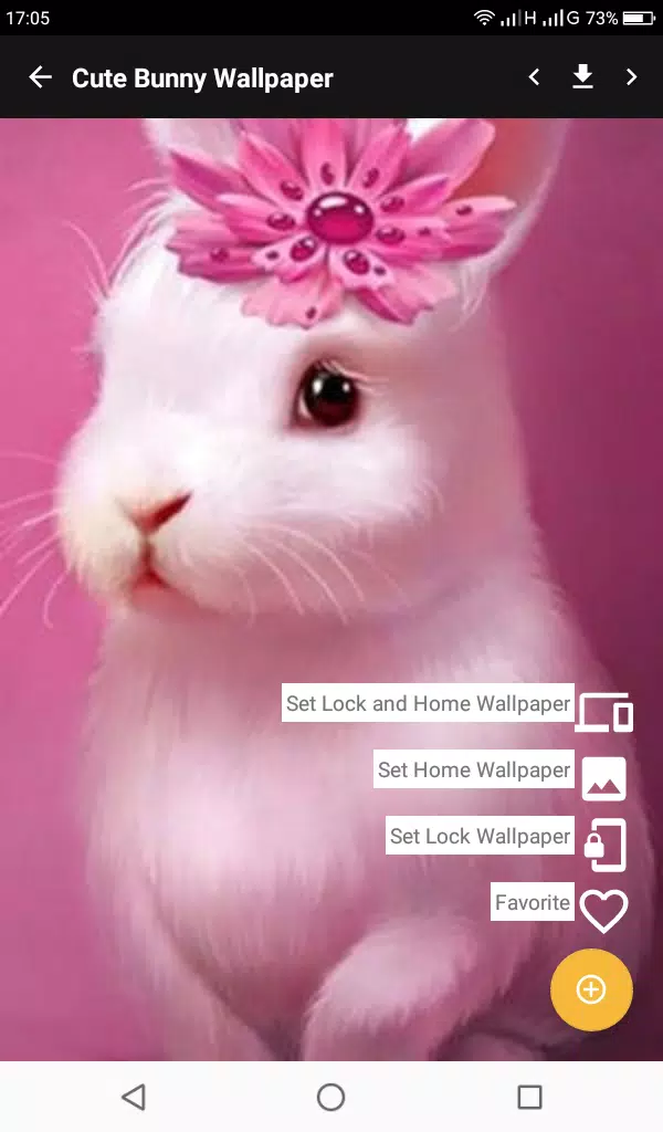 Cute Bunny Wallpapers APK pour Android Télécharger