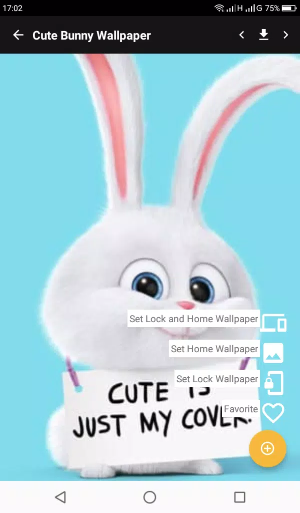 Cute Bunny Wallpapers APK pour Android Télécharger