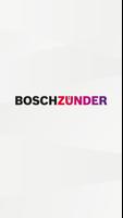 Bosch Zünder Affiche