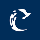 Bluecelona APK