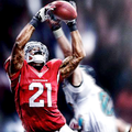 Wallpapers for Cardinals