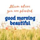 Good Morning Blessings Cards with Images APK
