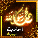 ahadit nabawiya  sant net APK