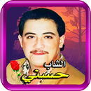 حسني منوعات الراي بدون نت APK