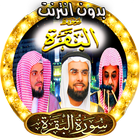 امازيغية شلحة مع امغران اومكيل icon