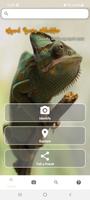 Lizard Species Identifier screenshot 1